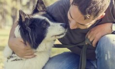 "Jeśli chcesz się pozbyć mojego psa, to poszukaj też pomnika dla mnie": krzyknął obrażony teść, a ja długo nic nie rozumiałem