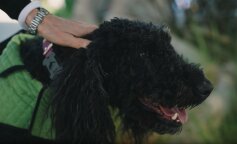 „Bóg wezwał moją teściową do siebie. Zabieramy teścia do nas. Mieli psa, dużego, czarnego i kudłatego. Zabraliśmy go, a on przyniósł nam wiele zmian”