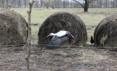 Mamy dobre wieści są już pierwsze oznaki wiosny! Cudownie.