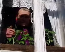 Opowieść z polskiej wsi, gdzie kobieta przygarnia porzucone zwierzęta i się nimi opiekuje. Tak żyją wszyscy razem