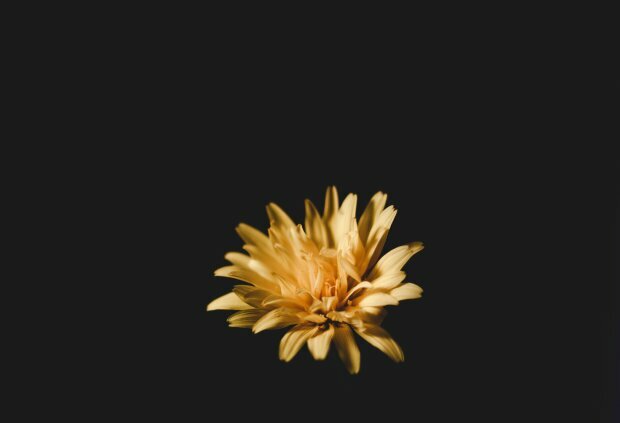 Żółty oraz jasnoszary kolor