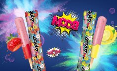 lody ekipy sklad