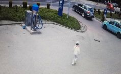 Bohaterowie wśród nas. W Polsce pracownik stacji benzynowej uratował dziecko