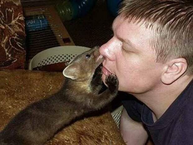 człowiek uratował zwierzę