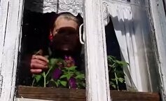 Opowieść z polskiej wsi, gdzie kobieta przygarnia porzucone zwierzęta i się nimi opiekuje. Tak żyją wszyscy razem