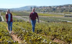 "Jurek, pomóż nam z mamą zebrać ziemniaki, bo sami nie damy rady, a was jest pięcioro."Historia z polskiej wsi, której zazdrościli wszyscy sąsiedzi