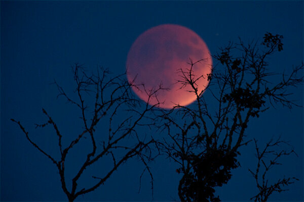 Całkiem możliwe, ze 26 maja mieszkańcy Ziemi będą mogli obserwować czerwony Księżyc