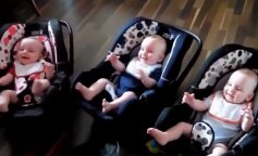 Jak wygląda życie identycznych trojaczków, których może rozróżnić tylko ich mama
