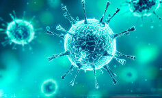 Skutki epidemii koronawirusa dla przyrody. Przynajmniej coś dobrego