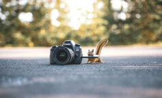 Zabawne zdjęcia, na których bohaterowie drugiego planu zaćmili wszystkich