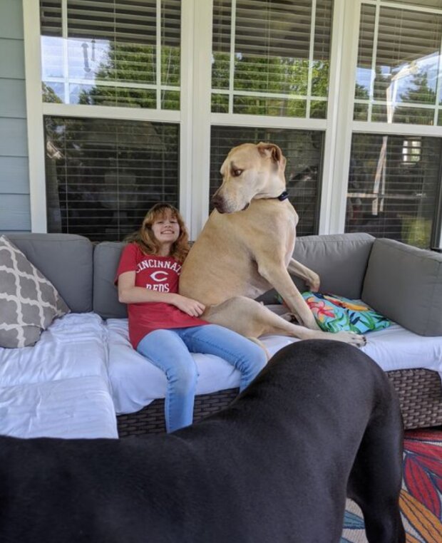 Śmieszne zwierzęta