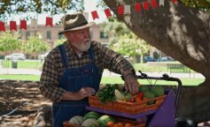 "Z żoną znaleźliśmy się w dziwnej sytuacji. Przyjechaliśmy na działkę a tam chaos. Wykopałi wszystkie nasze kwiaty. Złodzieje zabrali całą truskawkę"