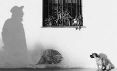 "Byliśmy niemłodzi a żona powiedziała: Jeśli chcesz zabrać szczeniaka obiecaj że przeżyjesz co najmniej 10 lat. Nie chcę żeby został sierotą": Z życia