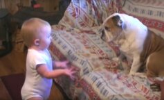 Nagranie chłopca, który kłóci się ze swoim psem. Filmik bije rekordy popularności