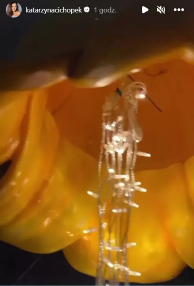Kasia Cichopek, screen Instagram