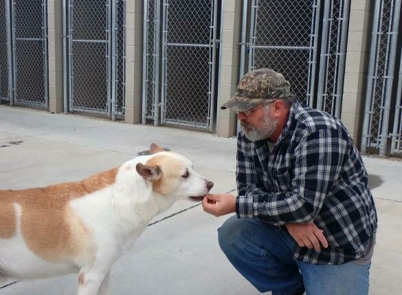 Pies ze schroniska zaczął płakać, gdy rozpoznał stojącą przed nim osobę