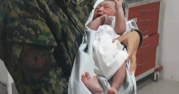 pies uratował dziecko