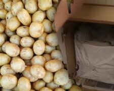 Cały czas przechowywane nieprawidłowo. Sekret dbania o ziemniaki w kuchni