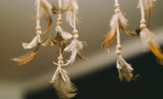 Wybierz skrzydło i dowiedz się, co przygotował dla Ciebie los