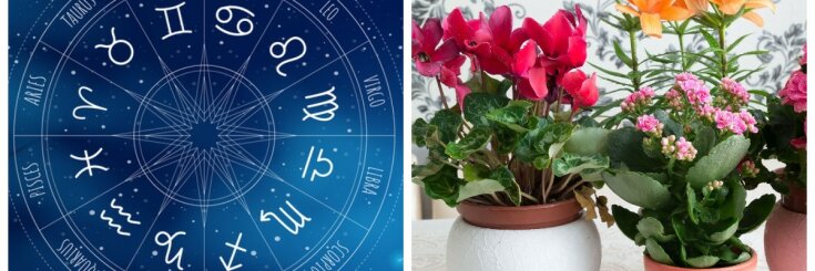 znaki zodiaku rośliny