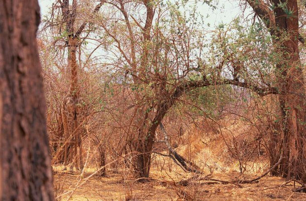 Co widzisz na tych zdjęciach?