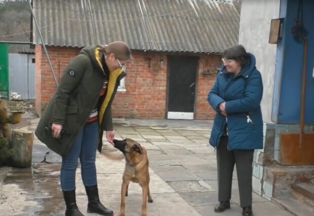 Pies przyprowadził ratowników, by uratować kobietę.