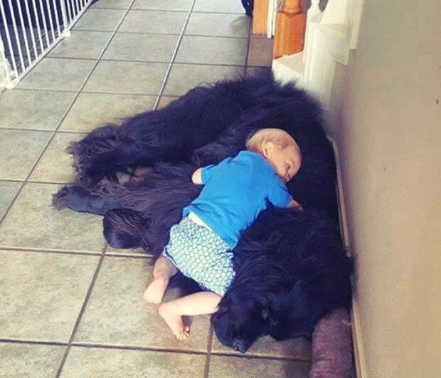 Każde dziecko powinno mieć zwierzątko domowe