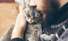 Ocean miłości: 20 uroczych zdjęć kociaków i ich właścicieli