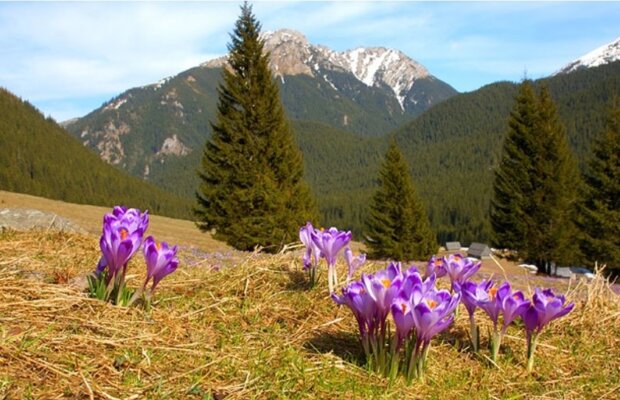 rajskie zakątki Polski