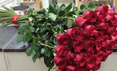 Marta zaczęła wynajmować mieszkanie. Pierwszego dnia, wieczorem, w drzwiach pojawił się chłopak z bukietem róż. Jej życie zmieniło się diametralnie