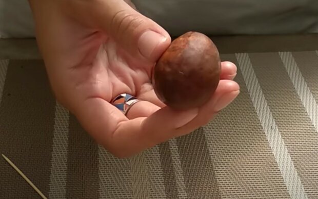 Jak wyhodować awokado,screen YT