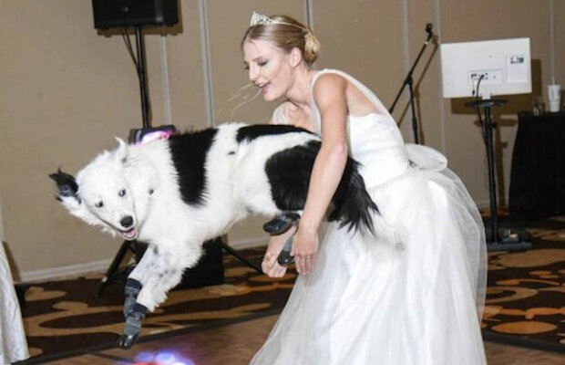 Panna młoda zatańczyła z psem: obejrzyj zabawny filmik