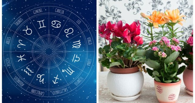 znaki zodiaku rośliny