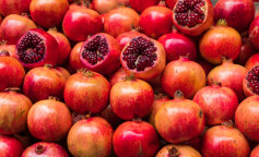 Jak wybrać dobry granat? Najczęstsze błędy przy kupowaniu granatów