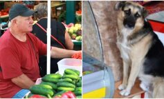 Sprzedawca był zdumiony, gdy pies przyszedł kupić mięso z banknotem i pieniędzmi w pysku i postanowił za nim podążyć. Nie wiedział, co go czeka