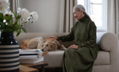 "Siostra zaprosiła świętować narodziny wnuka. Dawno u niej nie byłam i nie wiedziałam, że ma dwa duże psy. Więcej już do niej nie przyjdę": siostra