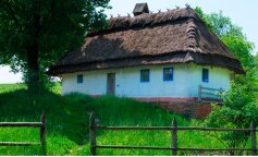 Moja babcia przyszła do mnie we śnie i powiedziała mi, że jej ręka była przez długi czas onimilowana. To był zdecydowanie znak