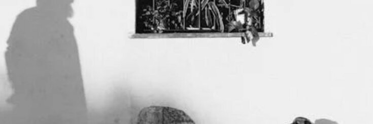 "Byliśmy niemłodzi a żona powiedziała: Jeśli chcesz zabrać szczeniaka obiecaj że przeżyjesz co najmniej 10 lat. Nie chcę żeby został sierotą": Z życia