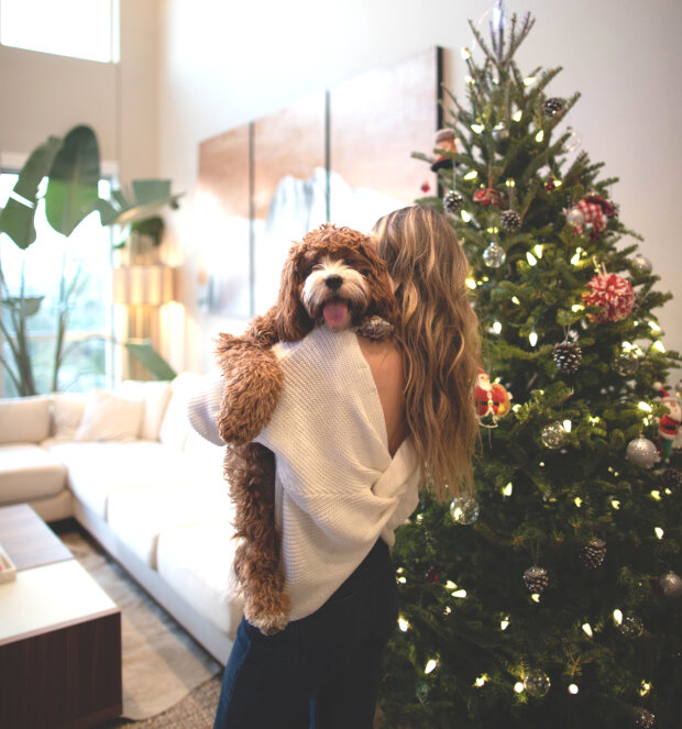 10 nieoczekiwanych powodów, dla których warto mieć psa