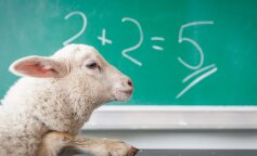 Nie można ich zmusić do przeczytania książki. Trzy najgłupsze znaki zodiaku wśród mężczyzn