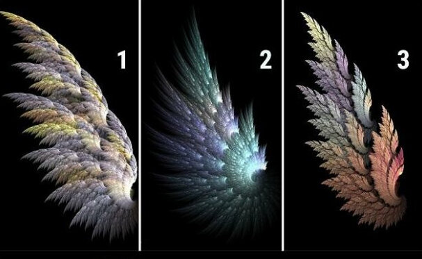 Wybierz jedno z trzech skrzydeł