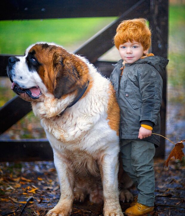 Słodkie zwierzaczki