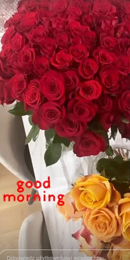 instagram joanna opozda