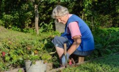 synowa odziedziczyła spadek, screen YT